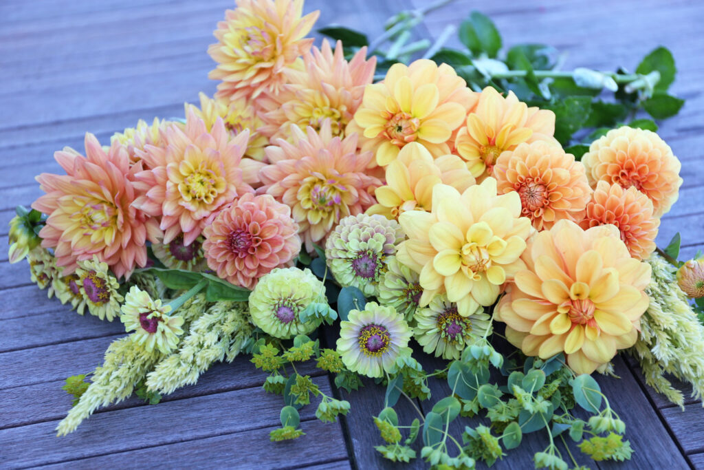 Yellow Flowers