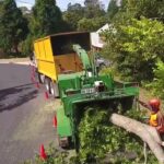 Preserving the North Shore Landscape: Responsible Tree Removal Practices